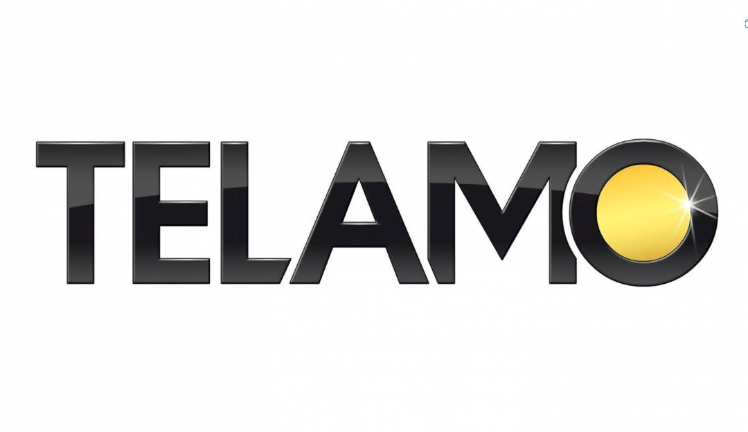 Logo_TELAMO